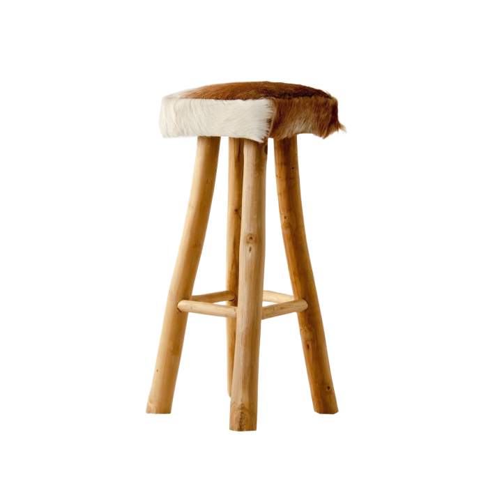 Bar stool Dallas