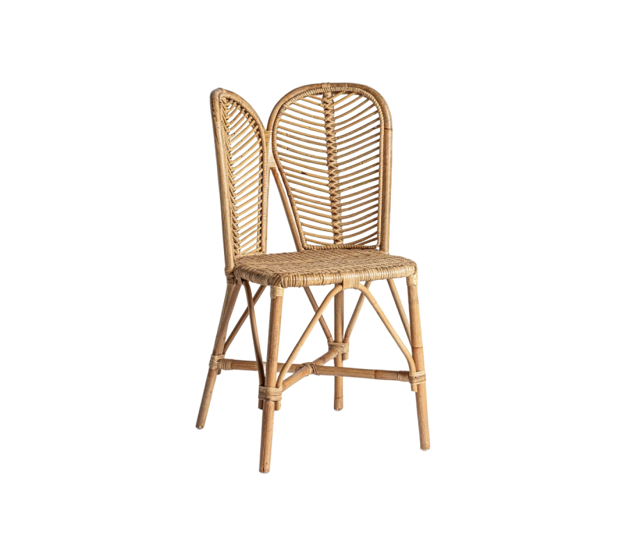 Chair Noal Chair Noal