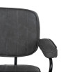 Chair Apikalia