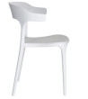 Chair Suoa