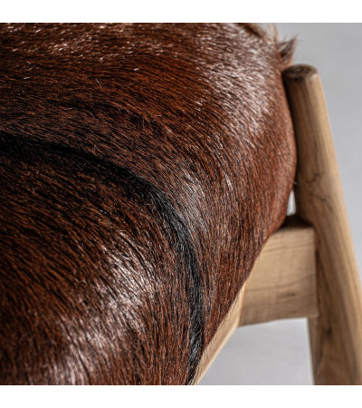Payerne  Armchair