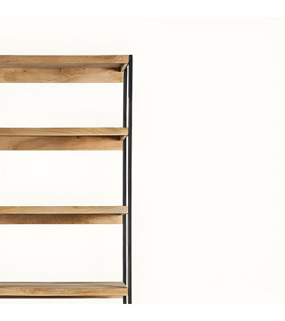 Bookcase Buia