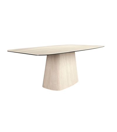 Dinning Table Rectangular Barril