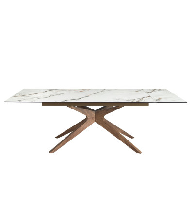 Dinning Table Rectangular Extensible Porce