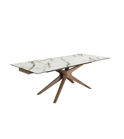 Dinning Table Rectangular Extensible Porce