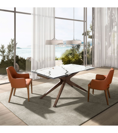 Dinning Table Rectangular Extensible Porce