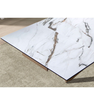 Dinning Table Rectangular Extensible Porce