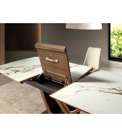 Dinning Table Rectangular Extensible Barl