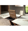 Dinning Table Rectangular Extensible Barl