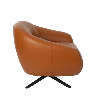 Armchair Cogna