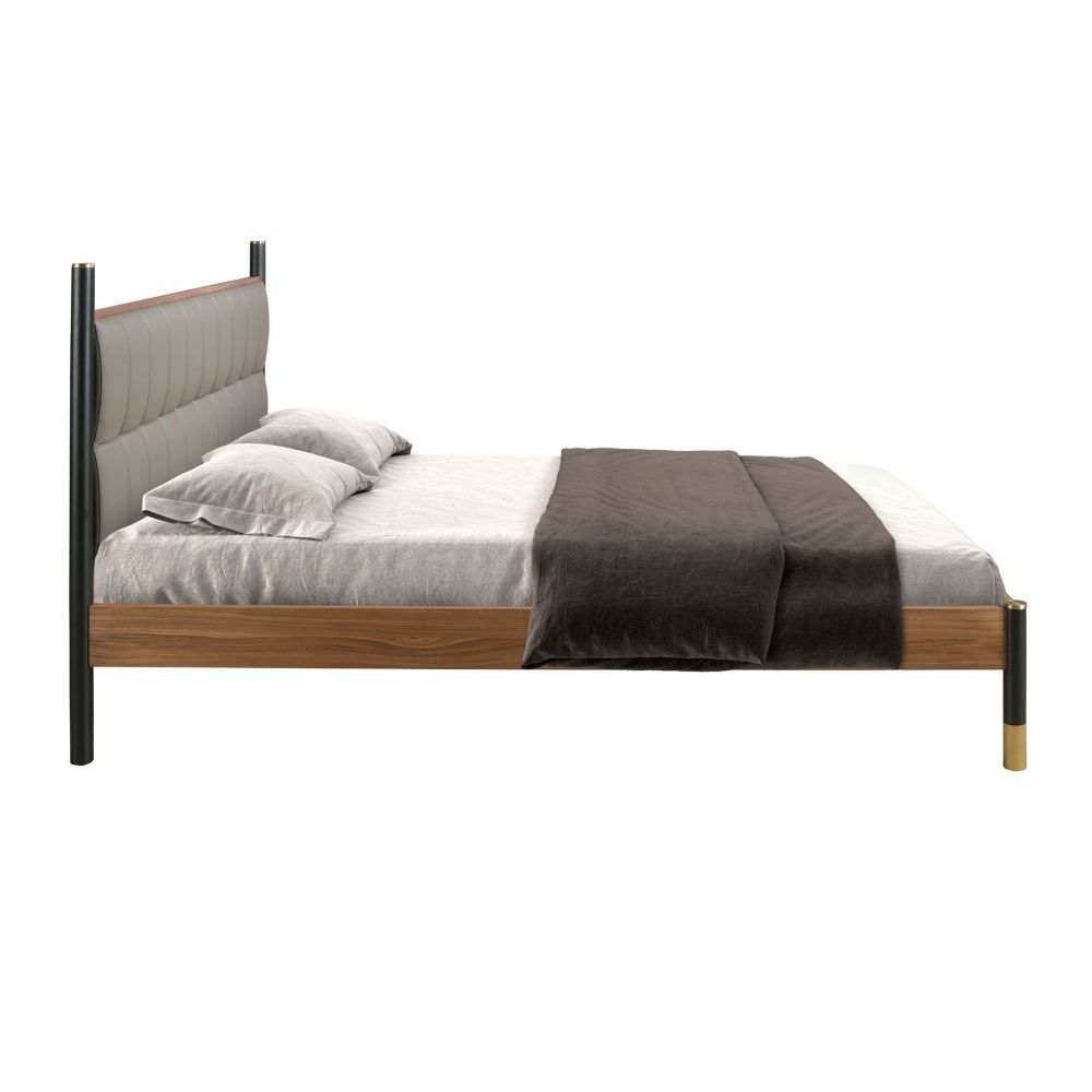 Bed Bolly