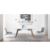 Dinning Table Skind
