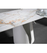 Dinning Table Bii