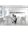 Dinning Table Swan