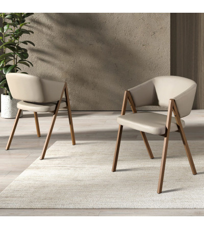 Chair Crano