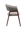 Chair Arza