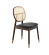 Chair Diny