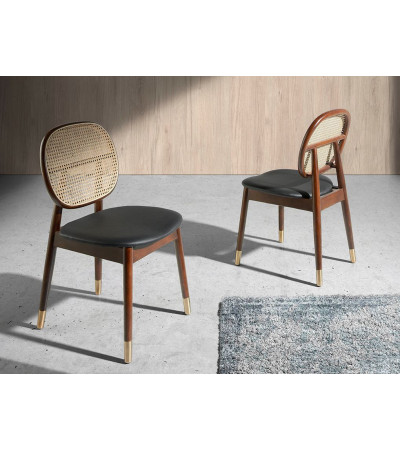 Chair Diny