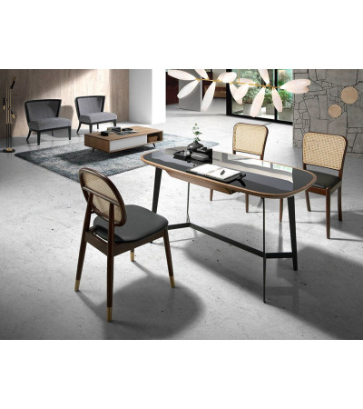 Chair Diny