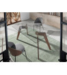 Chair Swan
