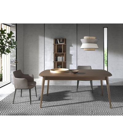 Chair Blugi
