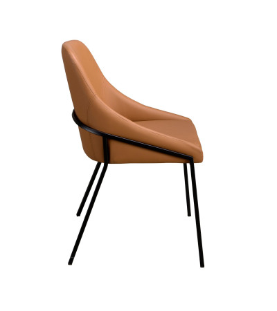 Chair Naran