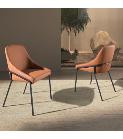 Chair Naran