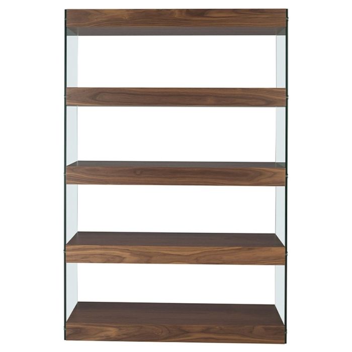 Shelf Santini