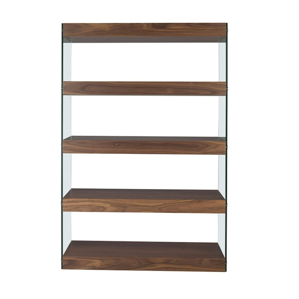Shelf Santini