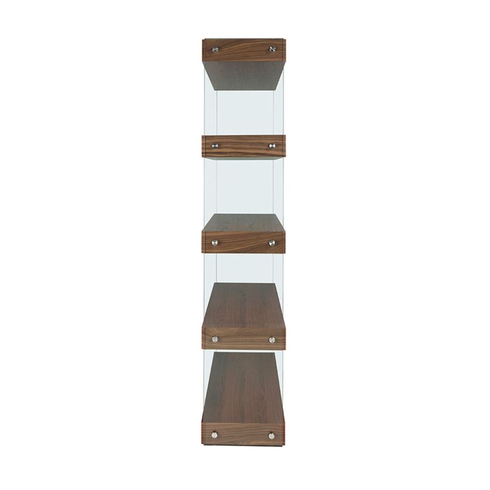 Shelf Santini