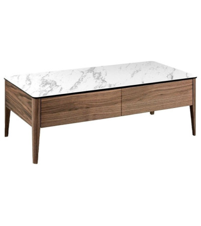 Coffee Table Sowa
