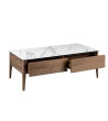 Coffee Table Sowa