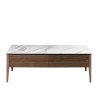 Coffee Table Sowa