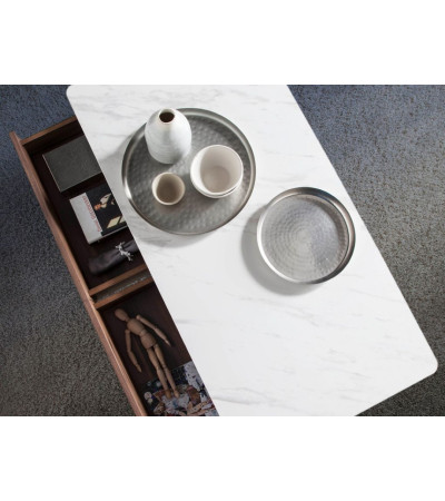 Coffee Table Sowa