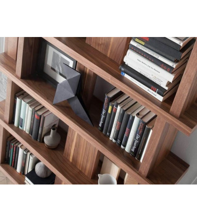 Shelf Shifran