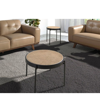 Coffee Table Rayl