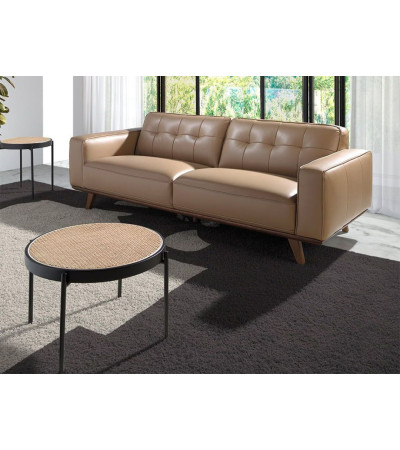Coffee Table Rayl
