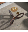Coffee Table Ray