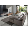Base TV Haugen