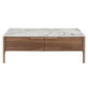 Coffee Table Trabe