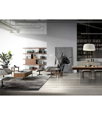 Coffee Table Trabe