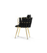 Armchair Ventura