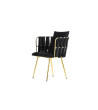 Armchair Ventura