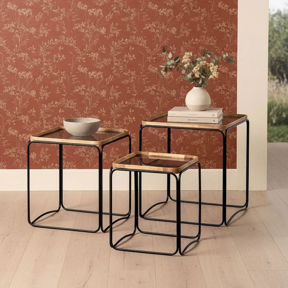 Set Coffee Table Cauch