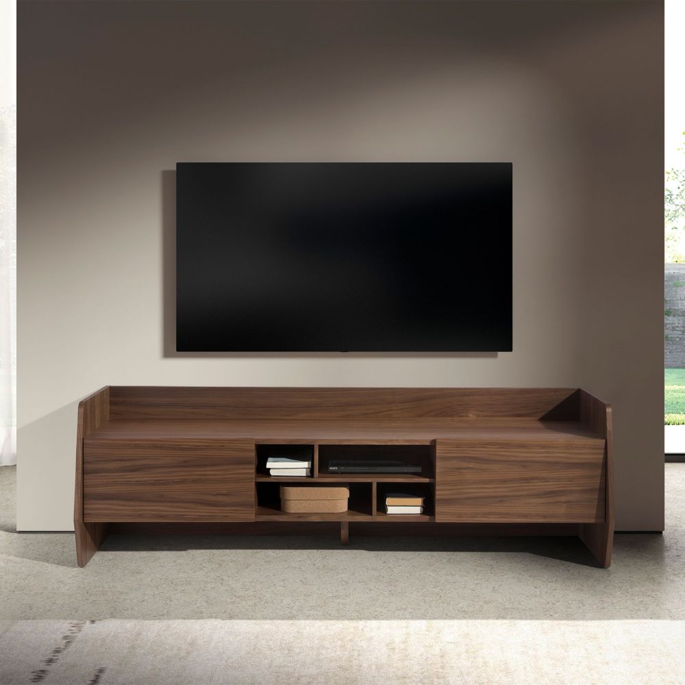 BASE TV MODEM