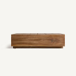 TREM COFFEE TABLE