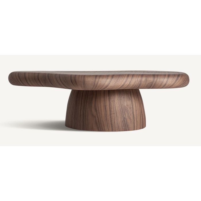 GENEIKEN COFFEE TABLE