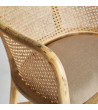 Armchair Nuchis