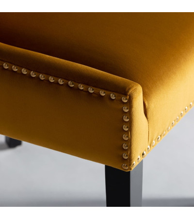 Chair Resi
