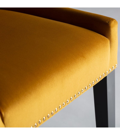 Chair Resi